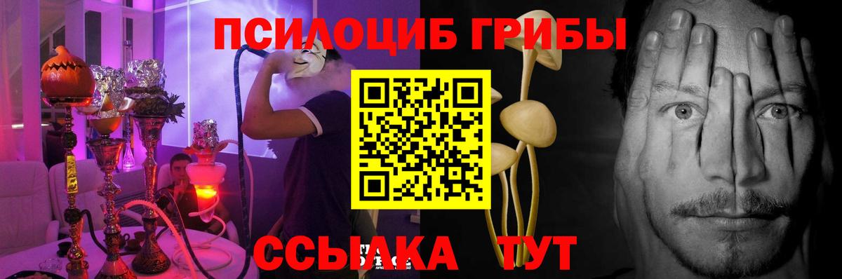 Псилоцибиновые грибы MAGIC MUSHROOMS Калининград