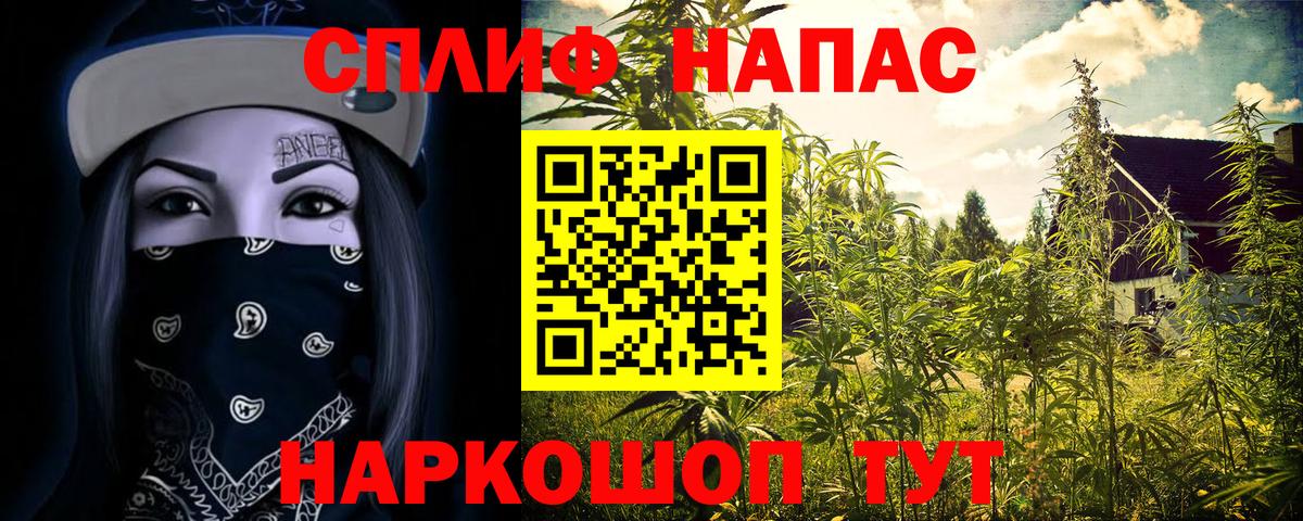 Шишки марихуана OG Kush Калининград